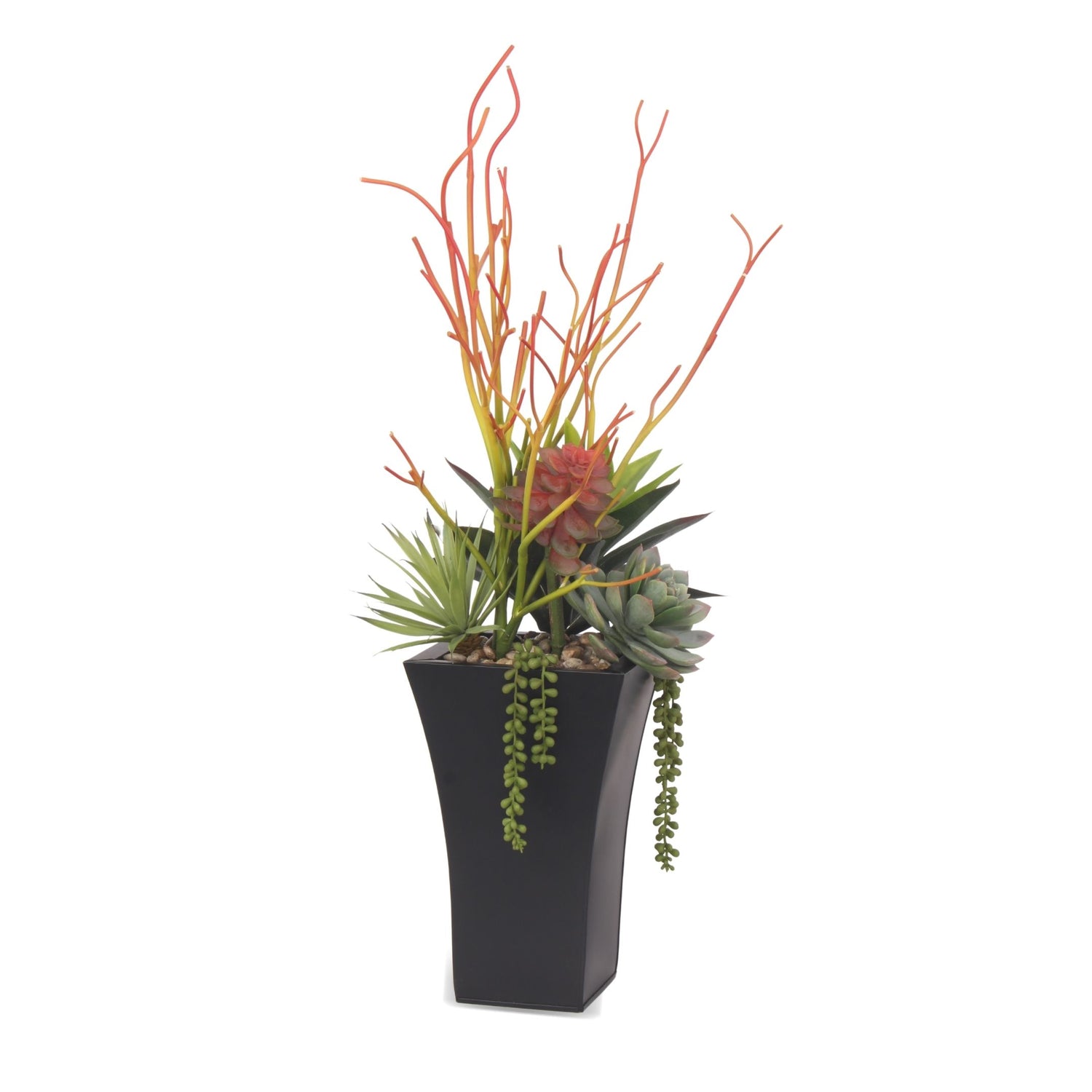 Pencil Cactus, Agave, Succulents Arrangement in A Black Square Metal Pot#S-39