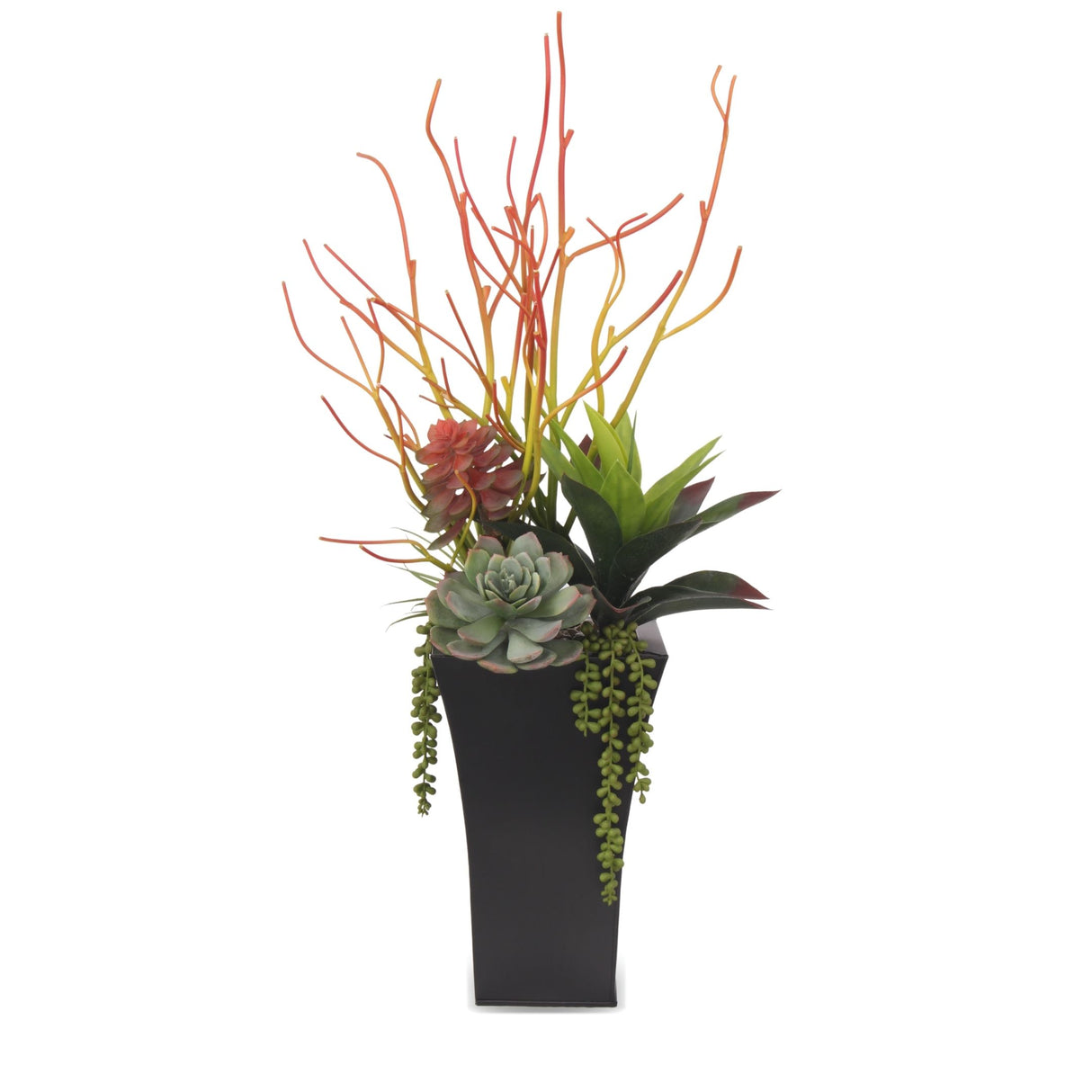 Pencil Cactus, Agave, Succulents Arrangement in A Black Square Metal Pot#S-39