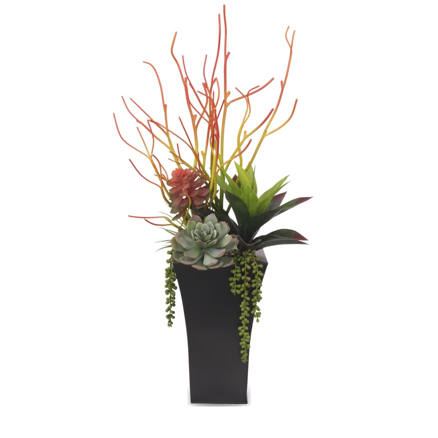 Pencil Cactus, Agave, Succulents Arrangement in A Black Square Metal Pot#S-39