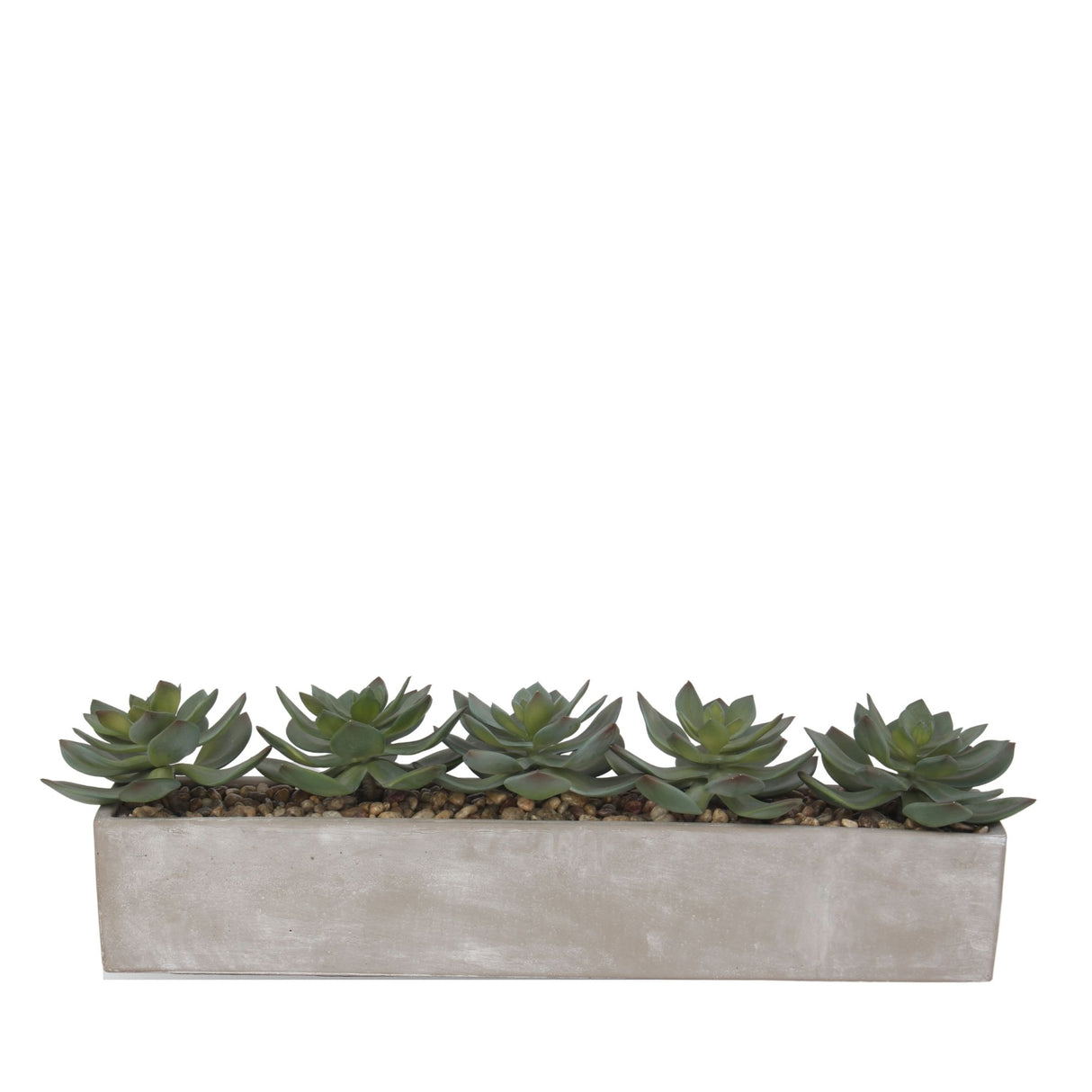 Faux Echeverias with Pebbles Succulent Arrangement In Cement Rectangular Pot#S-41