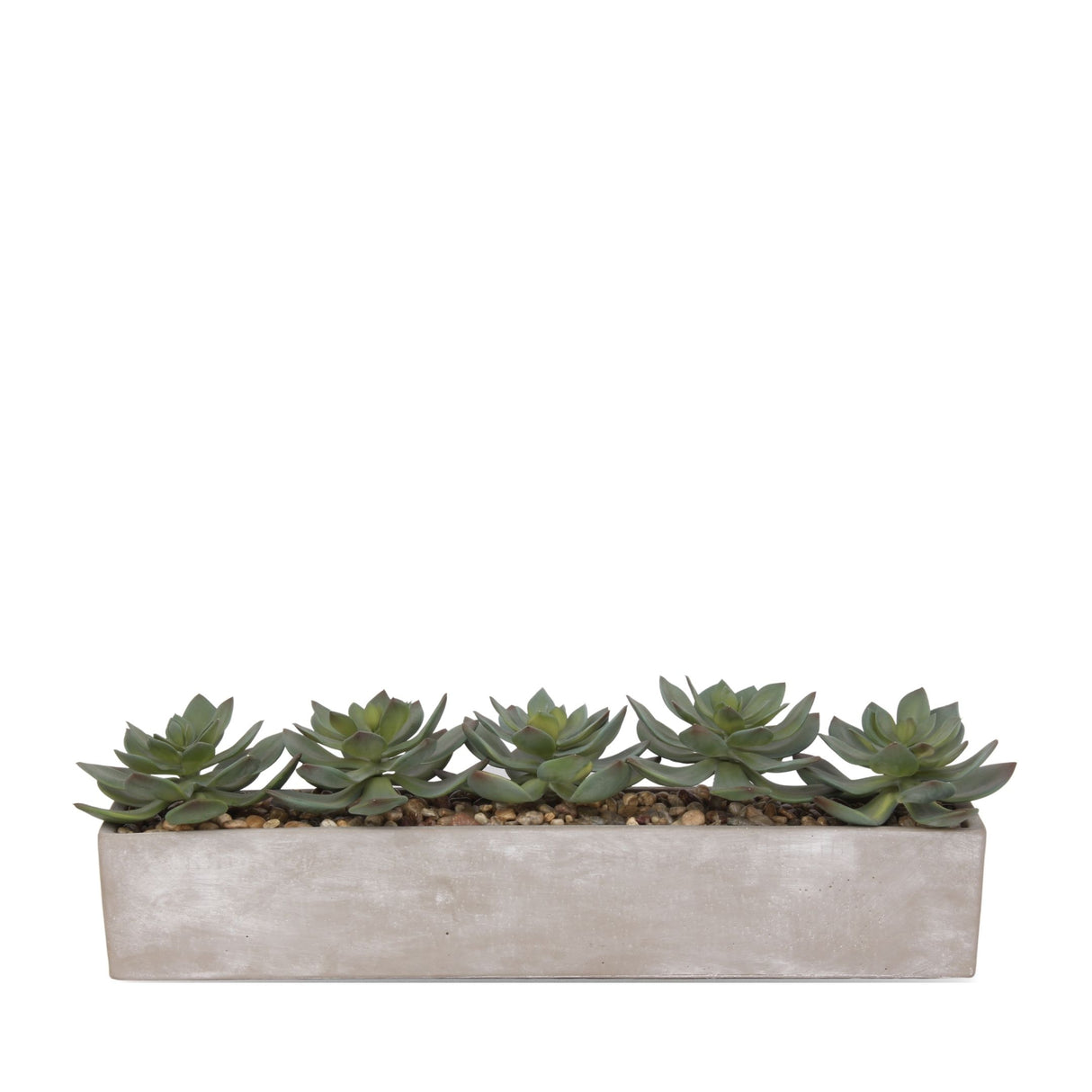 Faux Echeverias with Pebbles Succulent Arrangement In Cement Rectangular Pot#S-41