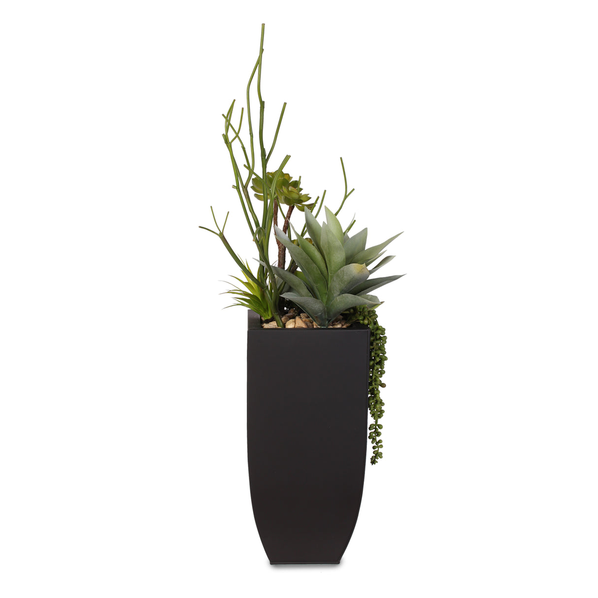 Botanical Succulent Variety in a Tall Black Modern Metal Planter #S-77
