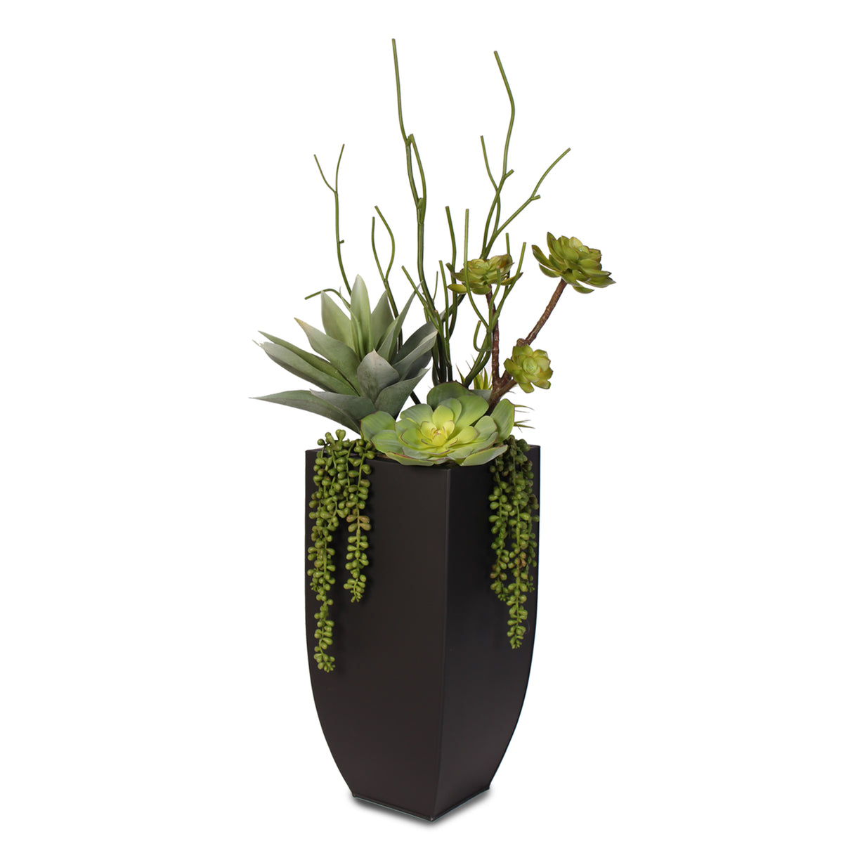 Botanical Succulent Variety in a Tall Black Modern Metal Planter #S-77
