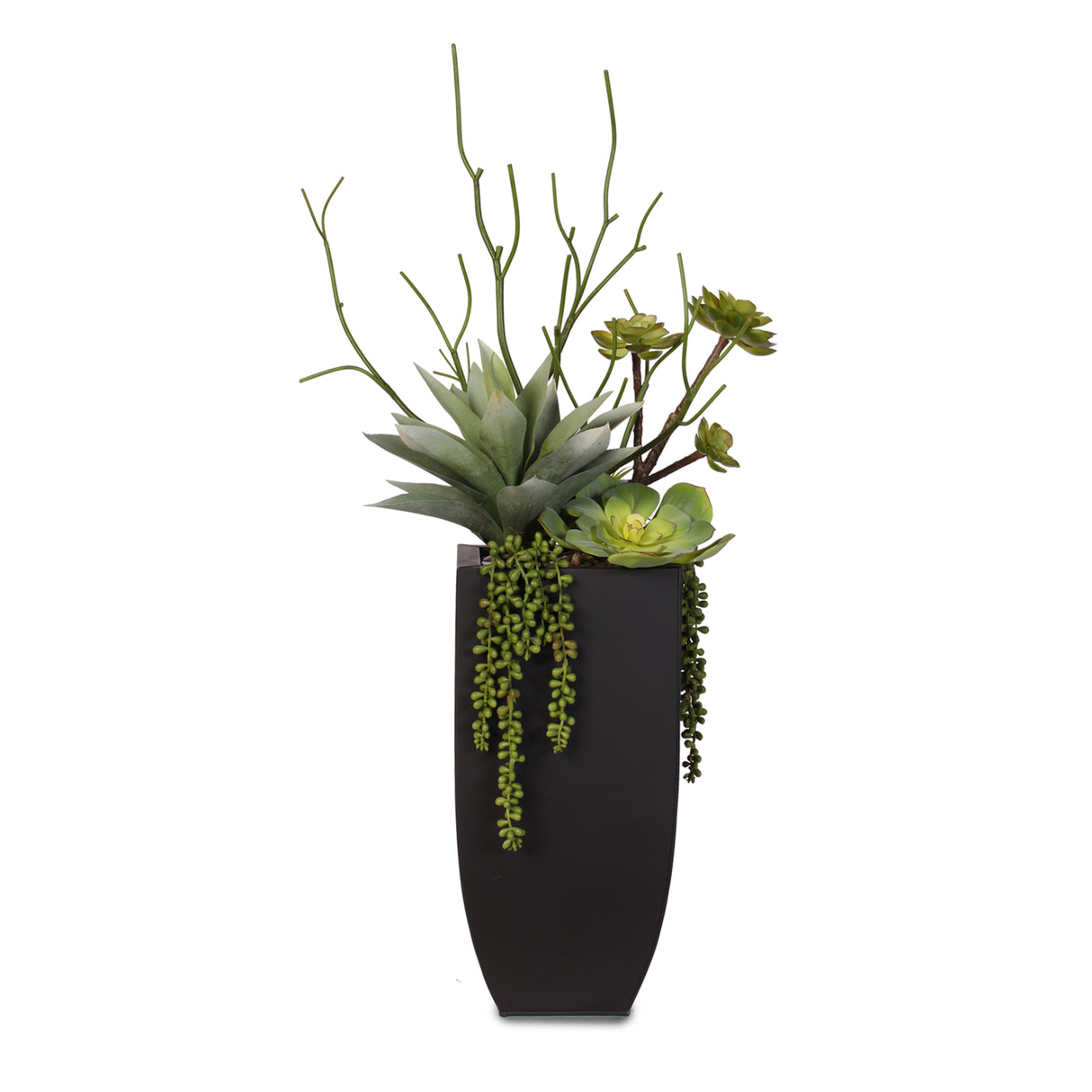 Botanical Succulent Variety in a Tall Black Modern Metal Planter #S-77