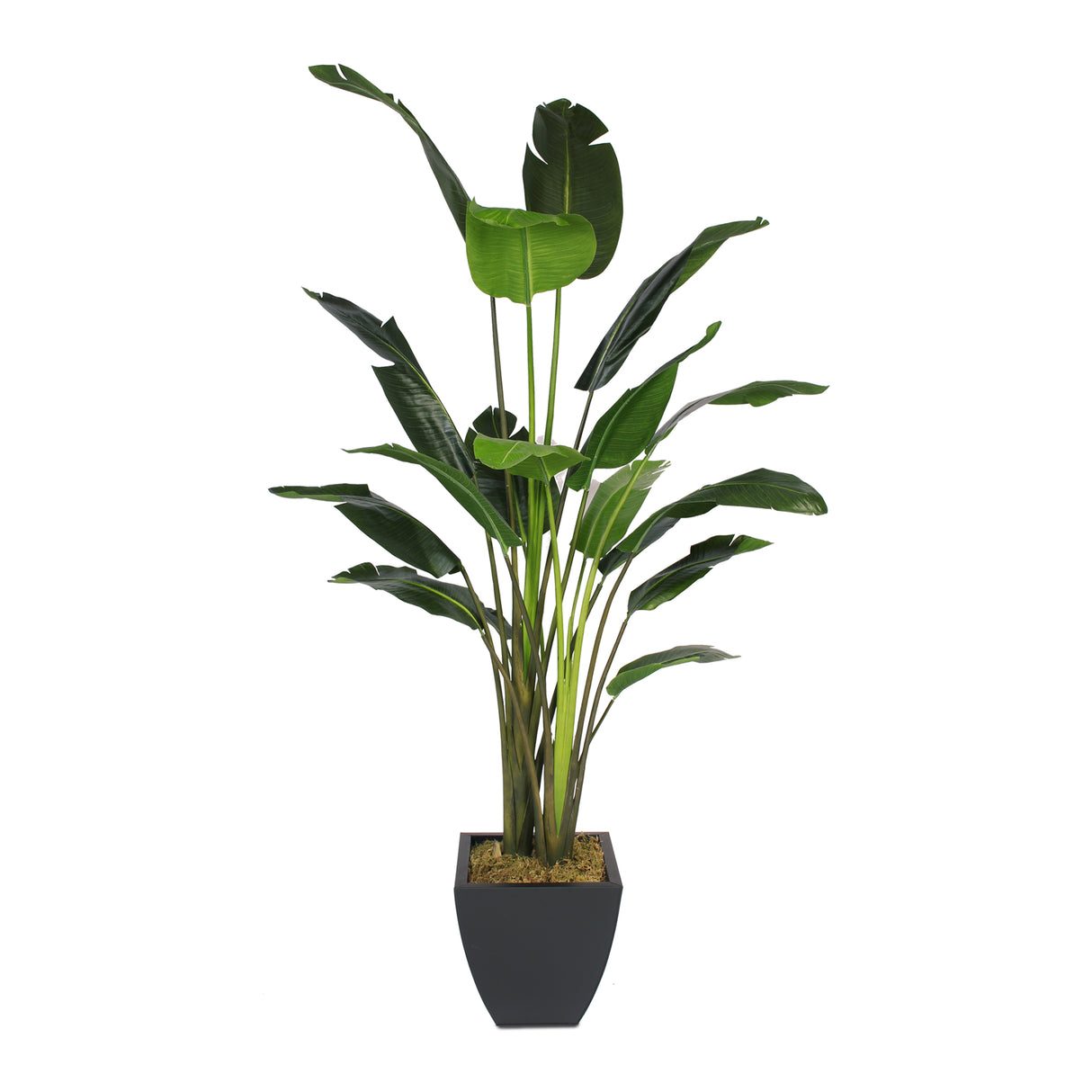 birds of paradise, artificial plant, artificial flowers, home decor, silk flowers