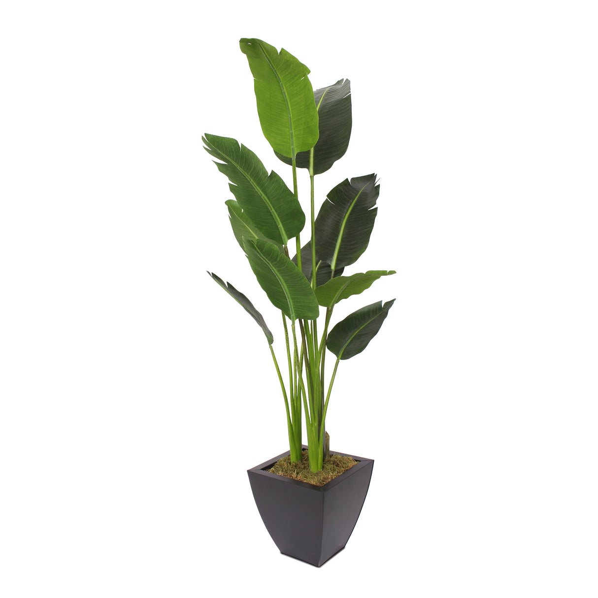 Modern Artificial Bird of Paradise Tree in Square Black Metal Zinc Pot #T-105