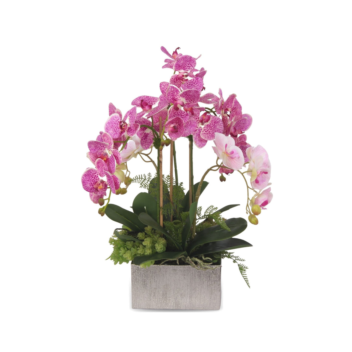 Real Touch Orchid Purple White/Pink with Fern/Succulents Arrangement in Silver Square Pot #F-153