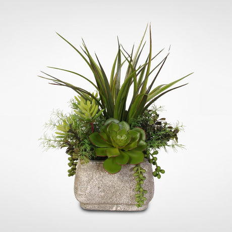 What is a Succulent Arrangement Plant?
