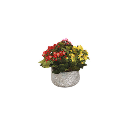 Flower Bouquets