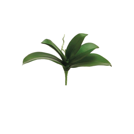 Artificial Non-Flowering Plants