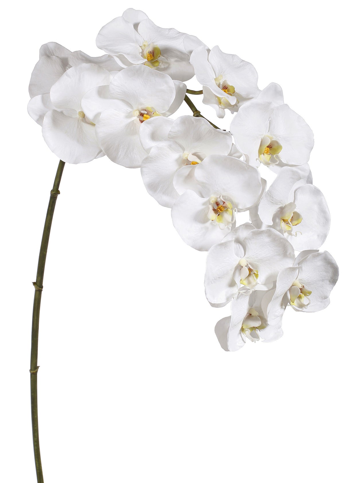 44" White Phalaenopsis Orchid x12 (6 Pcs) #95160-WW