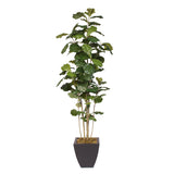 6 Feet Fiddle Leaf Tree in a Metal Container #99D