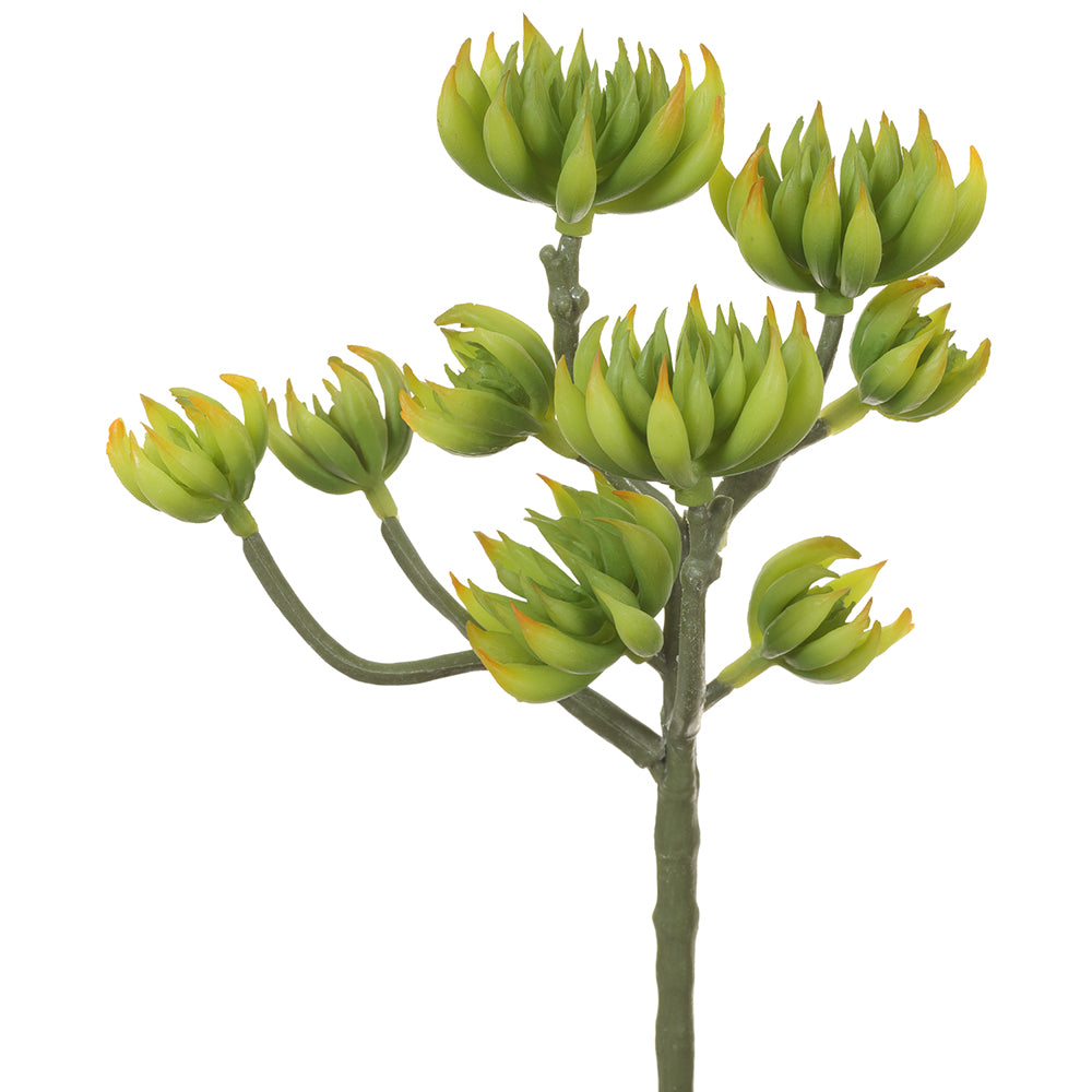 9.4" Spike Aeonium Pick  Green Yellow (12 Pcs Per Box) #CKA020-GR/YE