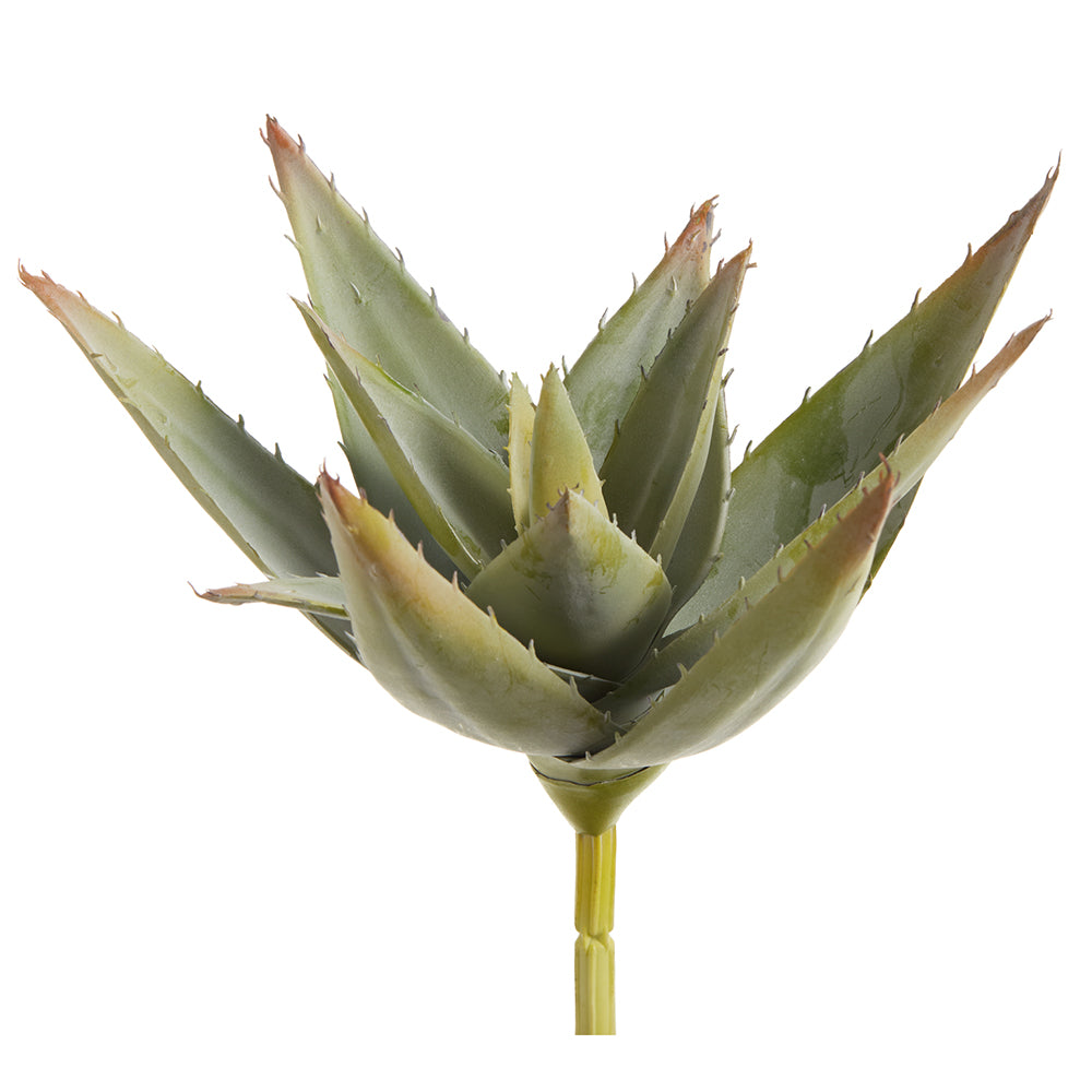 8" Agave Pick  Green Burgundy (12 Pcs Per Box) #CKA086-GR/BU