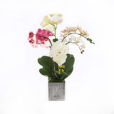 Real Touch Phalaenopsis Orchids in Luxe Silver Ceramic Pot #F-186