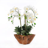White Real Touch Phalaenopsis Orchids in Rustic Teak Bowl #F-187