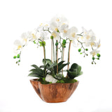 White Real Touch Phalaenopsis Orchids in Rustic Teak Bowl #F-187