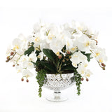 Faux White Orchid Arrangement in Antique Silver Glass Vase #F-197