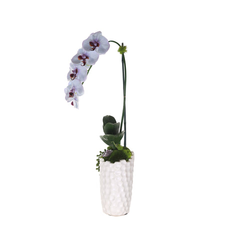 Purple Blue Phalaenopsis Orchid with Amethyst in Ceramic Vase #F-216