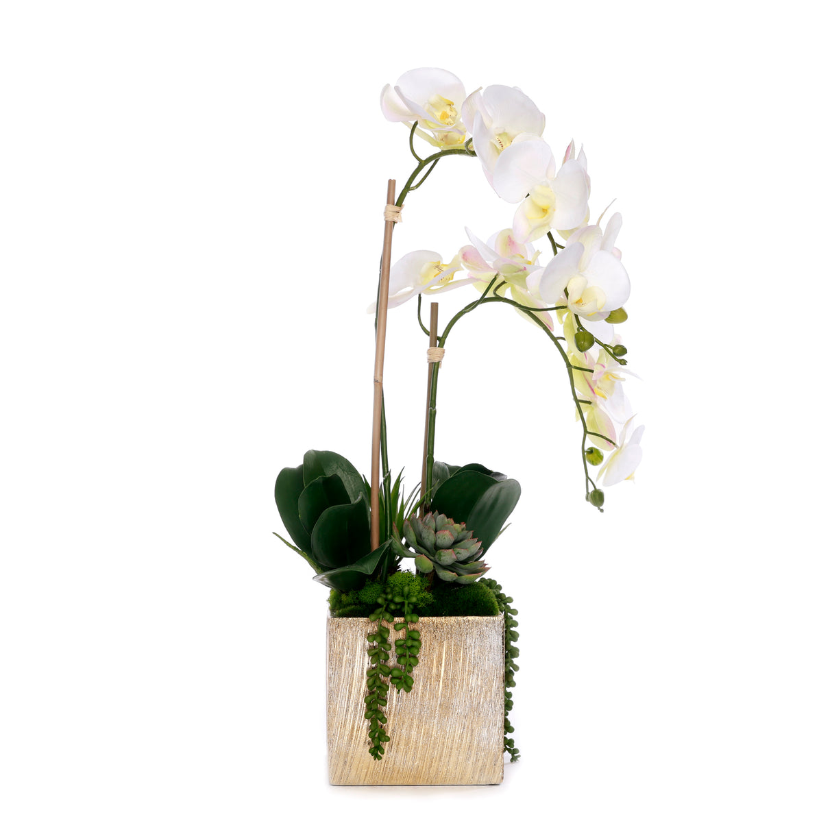 Real Touch Orchid Flower Arrangement in Cube Nickel Pot #F-230