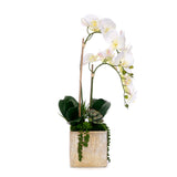 Real Touch Orchid Flower Arrangement in Cube Nickel Pot #F-230