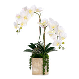 Real Touch Orchid Flower Arrangement in Cube Nickel Pot #F-230