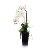 Real Touch White Orchid Flower Arrangement in Black Pot #F-239