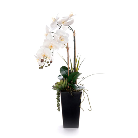 Real Touch White Orchid Flower Arrangement in Black Pot #F-239