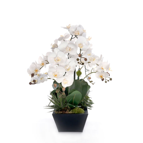 Real Touch White Orchid Flower Arrangement in Black Planter #F-240