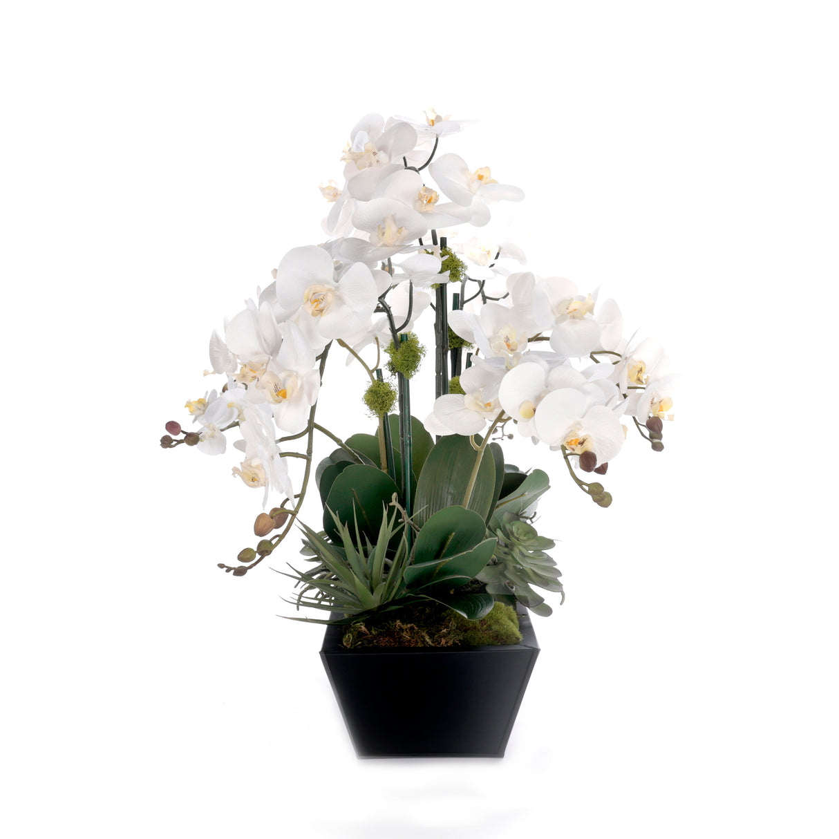 Real Touch White Orchid Flower Arrangement in Black Planter #F-240