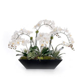 Real Touch White Orchid Flower Arrangement in Black Planter #F-240