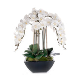 Real Touch White Orchids Flower Arrangement in Black Pot #F-241
