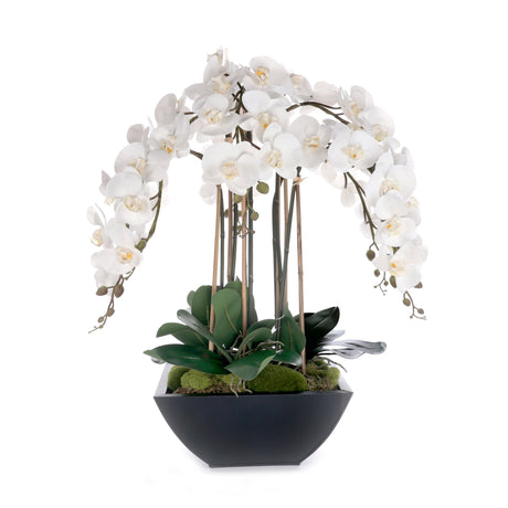 Real Touch White Orchids Flower Arrangement in Black Pot #F-241