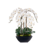 Real Touch White Orchids Flower Arrangement in Black Pot #F-241