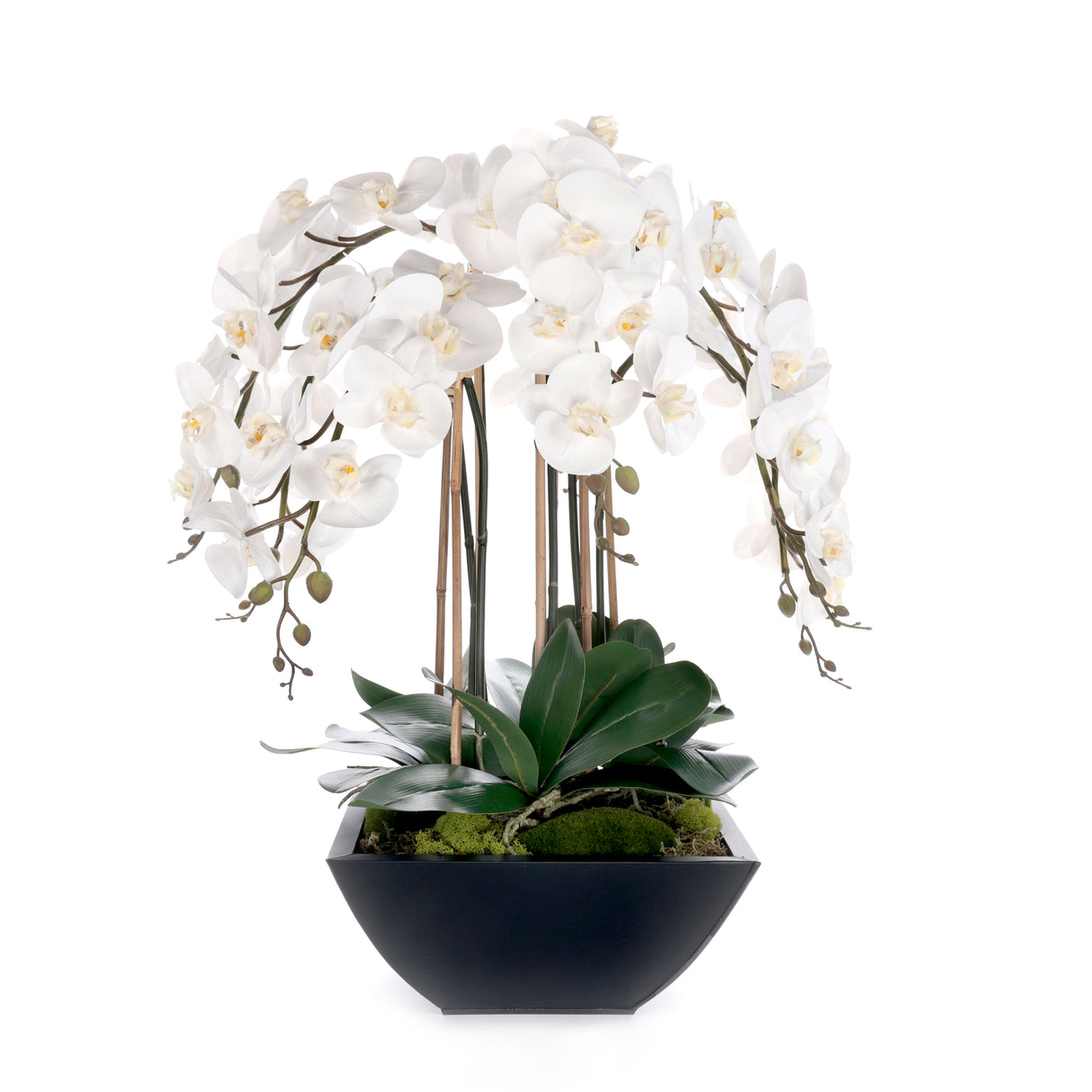 Real Touch White Orchids Flower Arrangement in Black Pot #F-241