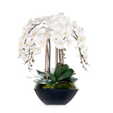 Real Touch White Orchids Flower Arrangement in Black Pot #F-241