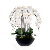 Real Touch White Orchids Flower Arrangement in Black Pot #F-241