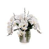 Real Touch White Orchids Flower Arrangement in Silver Vase #F-242
