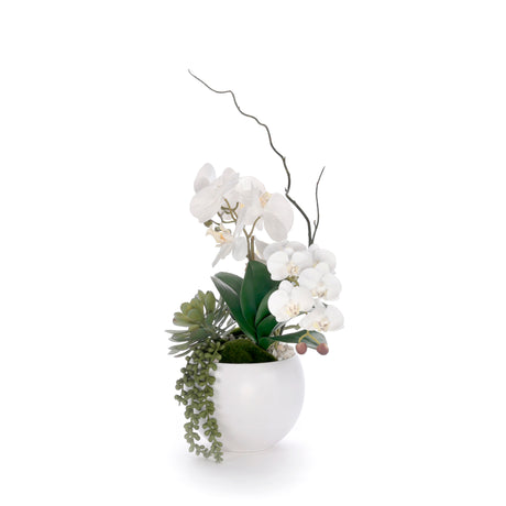 Real Touch White Orchid Flower Arrangement in White Bowl #F-244