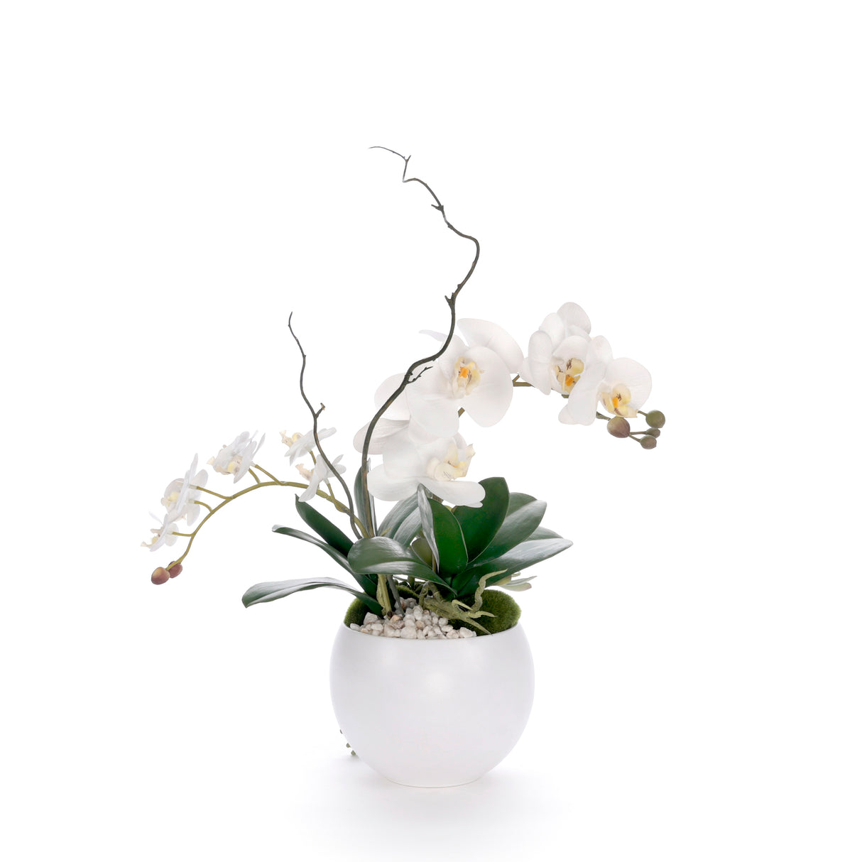 Real Touch White Orchid Flower Arrangement in White Bowl #F-244