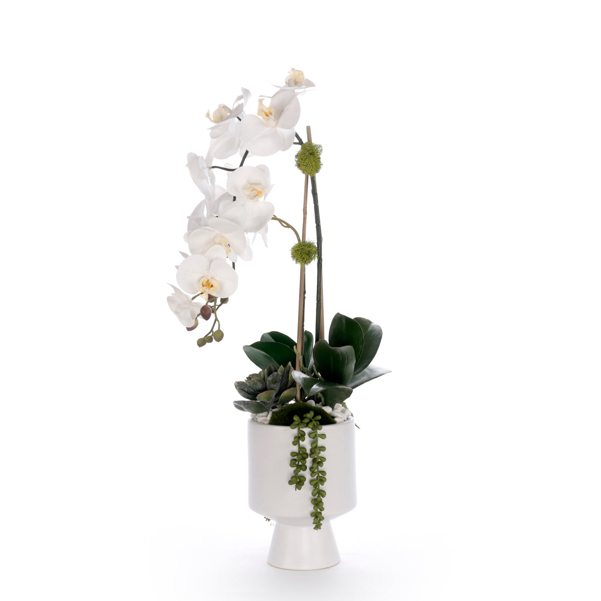 Real Touch White Orchid Flower Arrangement in White Pot #F-245