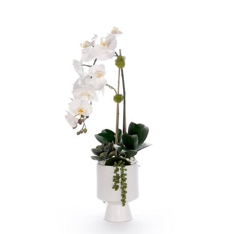 Real Touch White Orchid Flower Arrangement in White Pot #F-245