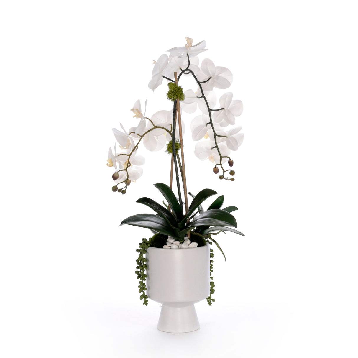 Real Touch White Orchid Flower Arrangement in White Pot #F-245