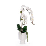 Real Touch White Orchid Flower Arrangement in White Pot #F-245