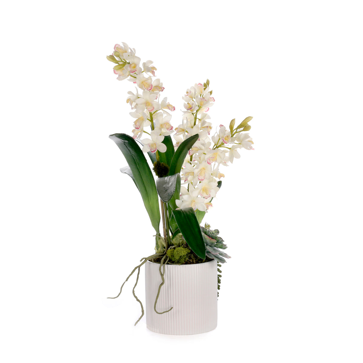 Real Touch White Cymbidium Orchid Arrangement in White Pot #F-249