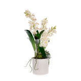 Real Touch White Cymbidium Orchid Arrangement in White Pot #F-249