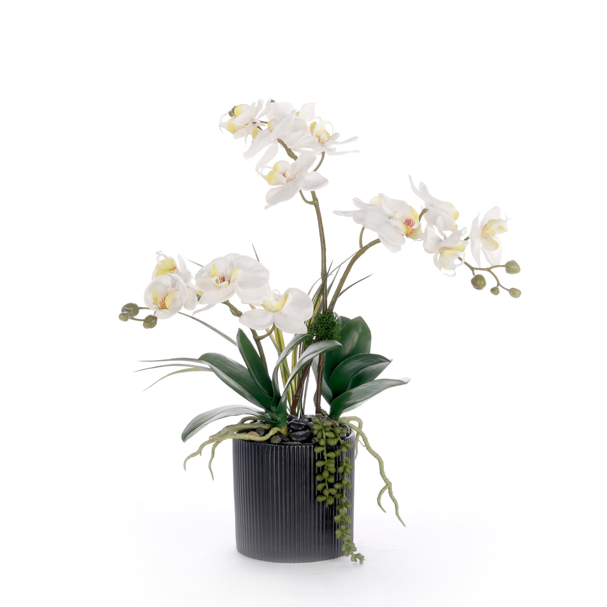 Real Touch White Orchid Flower Arrangement in Black Pot #F-251