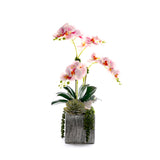 Pink Faux Orchid Flowers in Silver Square Pot #F-255