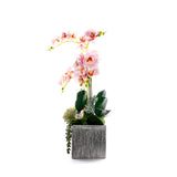 Pink Faux Orchid Flowers in Silver Square Pot #F-255