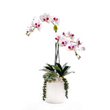 Faux Orchid Flowers w/Geodes, Succulent in White Ceramic Pot #F-256
